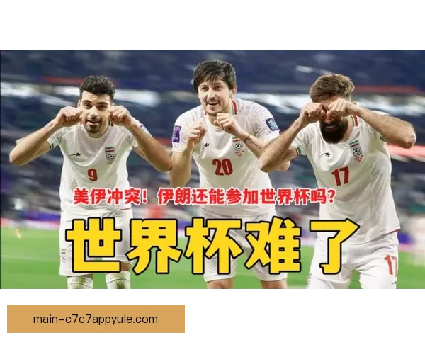 TA析伊朗世界杯或因政治退赛